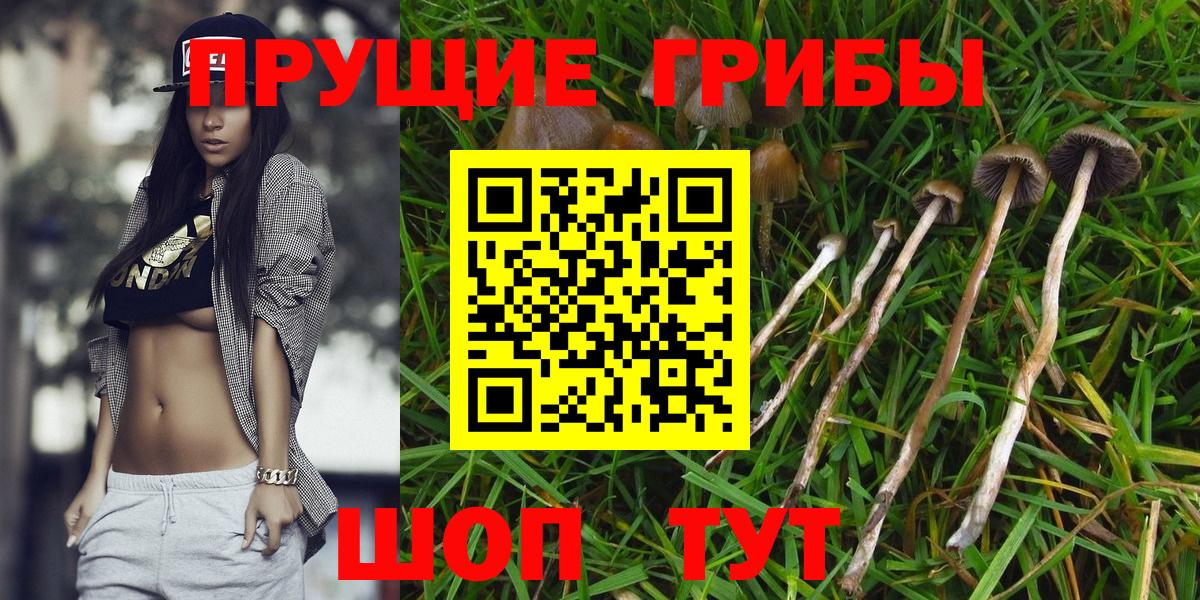Галлюциногенные грибы Magic Shrooms Горно-Алтайск