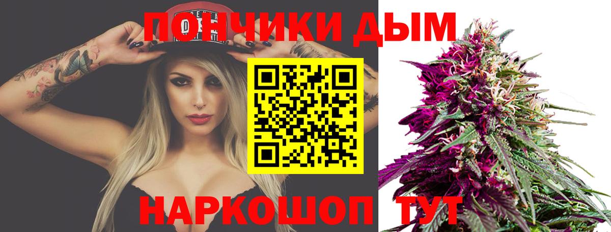 Шишки марихуана гибрид  Бошки марихуана конопля  Бошки марихуана тримм  Вход с VPN  Горно-Алтайск  Марихуана гибрид 